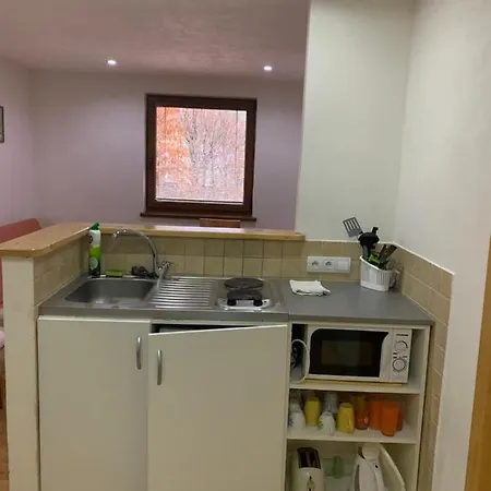 게스트하우스 Miroslav Bednar-bedomir 3*